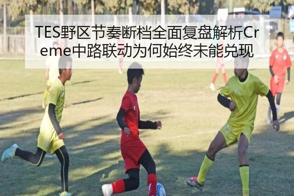 TES野区节奏断档全面复盘解析Creme中路联动为何始终未能兑现